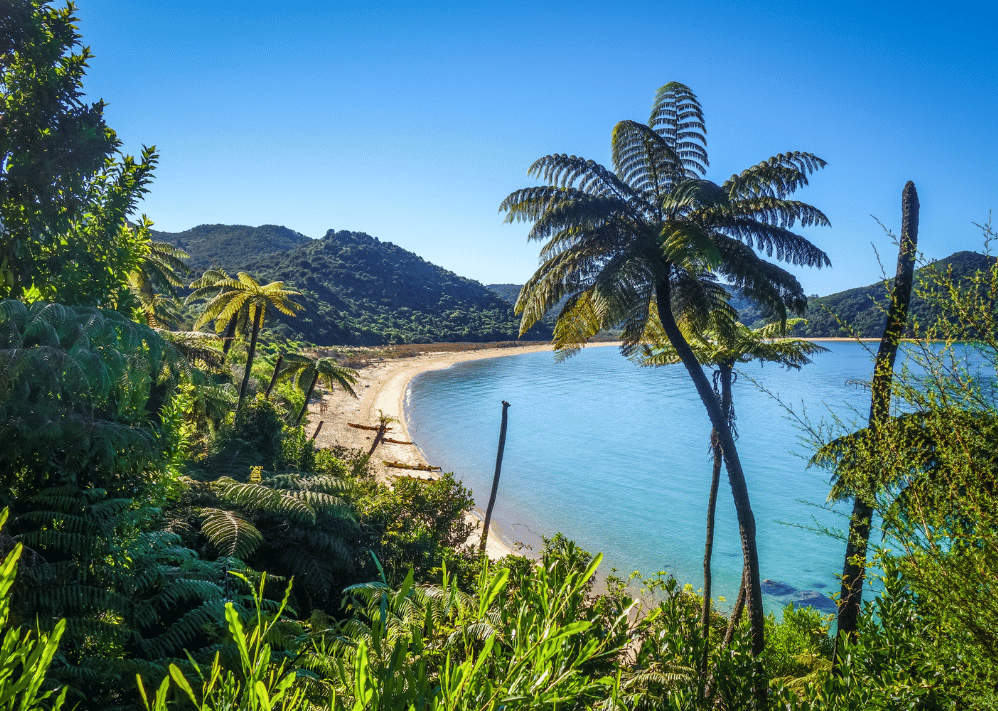 randonnées en Nouvelle-Zélande